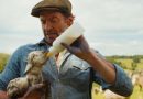 Should We Be Flocking To See ‘The Sheep Detectives’?