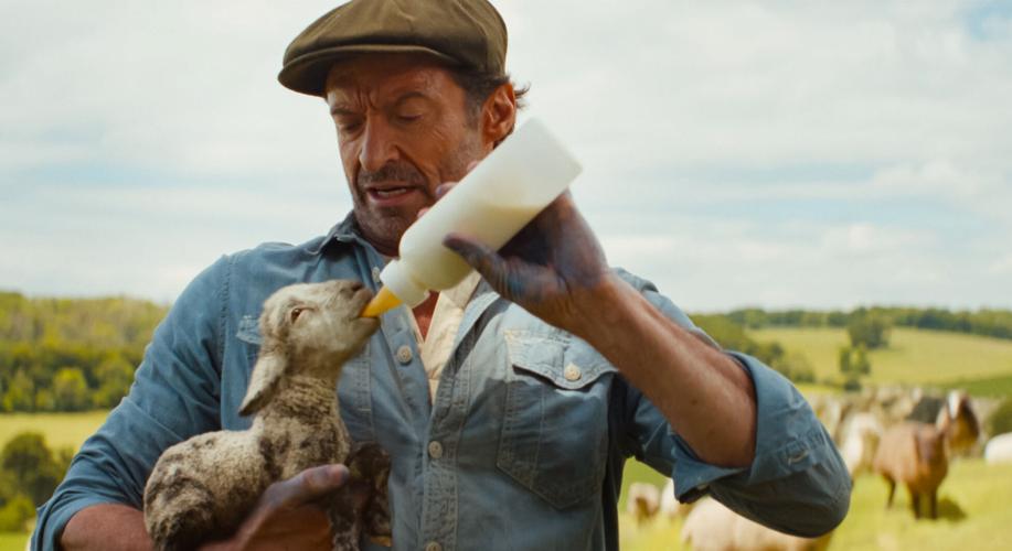 Should We Be Flocking To See ‘The Sheep Detectives'?